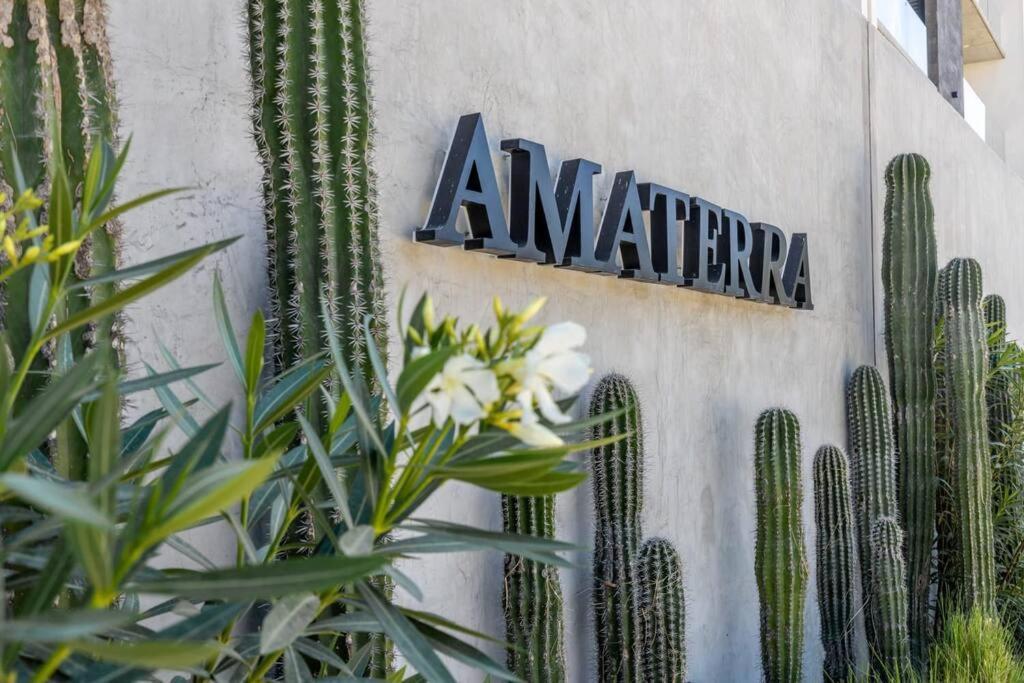Endless Summer - 2Bed 2Bath Condo - Seasonly Heated Pool With Ocean Views - 5Min Walk To Beach - Fibre Internet - Sleeps 6 Cabo San Lucas Exterior photo